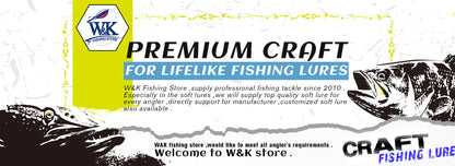 Seabass Paddle Tail Soft Lure Kit